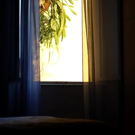 Apartamento A Due Passi Dal Treno Pisa